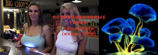 гашик Арсеньев