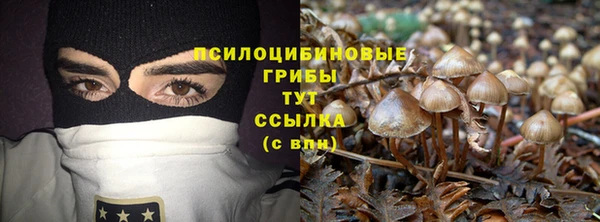 хмурый Баксан